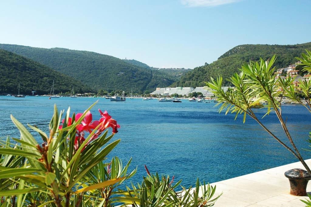 Apartment Noemi With A Direct Beach View Rabac Zewnętrze zdjęcie